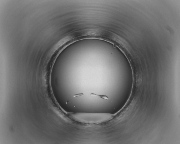 X0000113221026200909171551