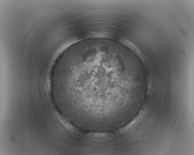 X0000113221027200909171551