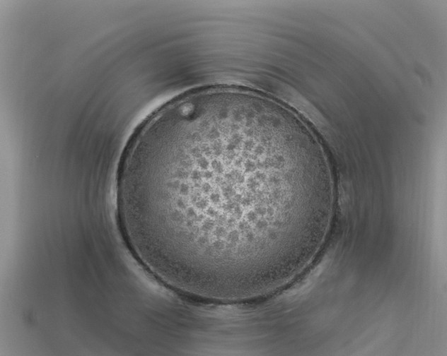 X0000113221028200909171551