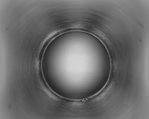 X0000113221029200909171551