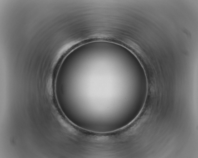 X0000113221030200909171551