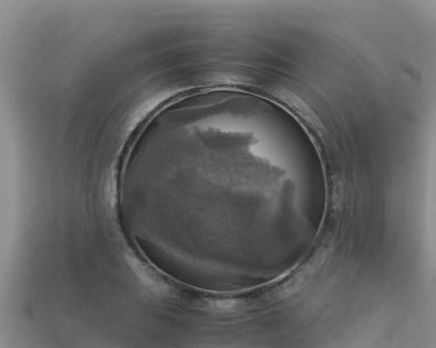 X0000113221031200909171551