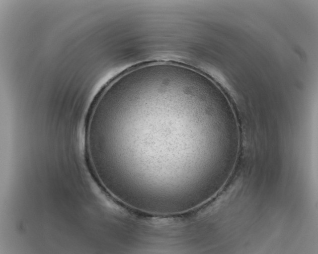 X0000113221032200909171551