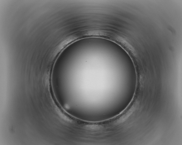 X0000113221033200909171551