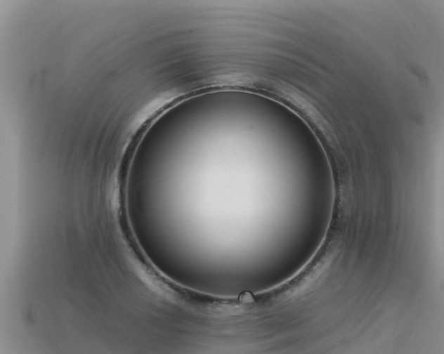 X0000113221034200909171551