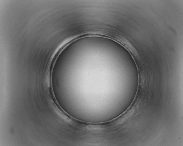 X0000113221036200909171551