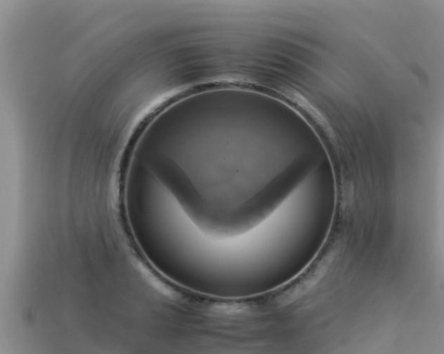 X0000113221037200909171551