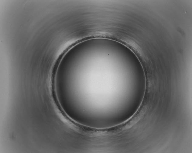 X0000113221038200909171551