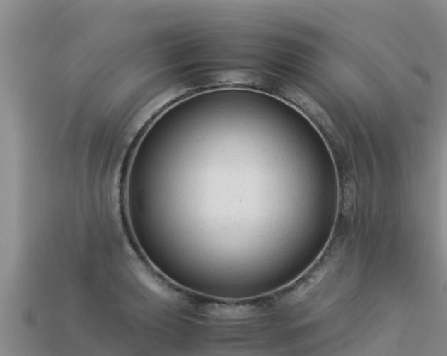 X0000113221039200909171551