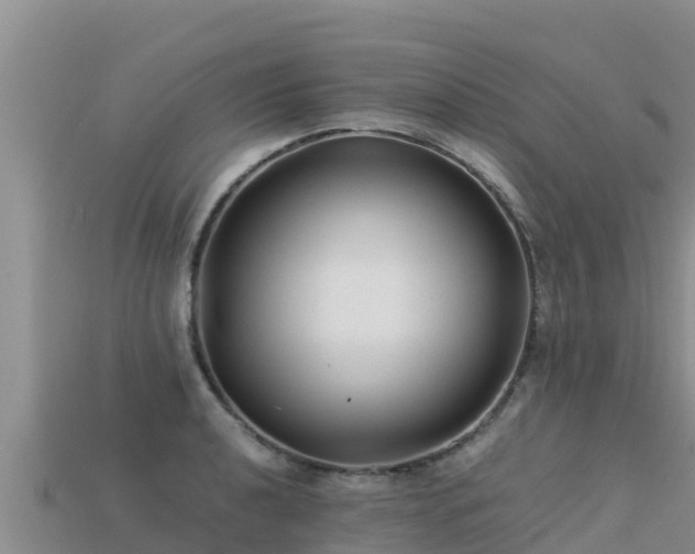 X0000113221040200909171551