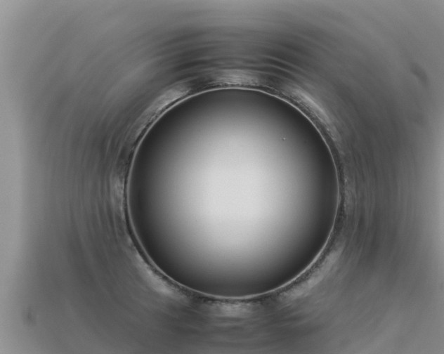 X0000113221041200909171551