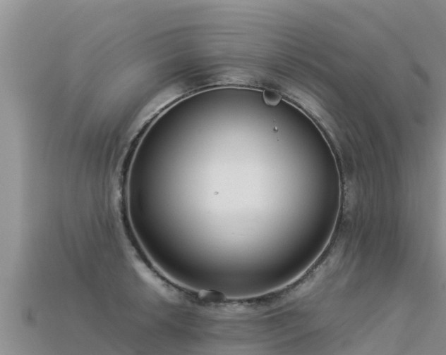 X0000113221042200909171551