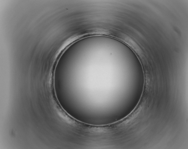 X0000113221044200909171551