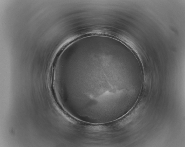 X0000113221045200909171551