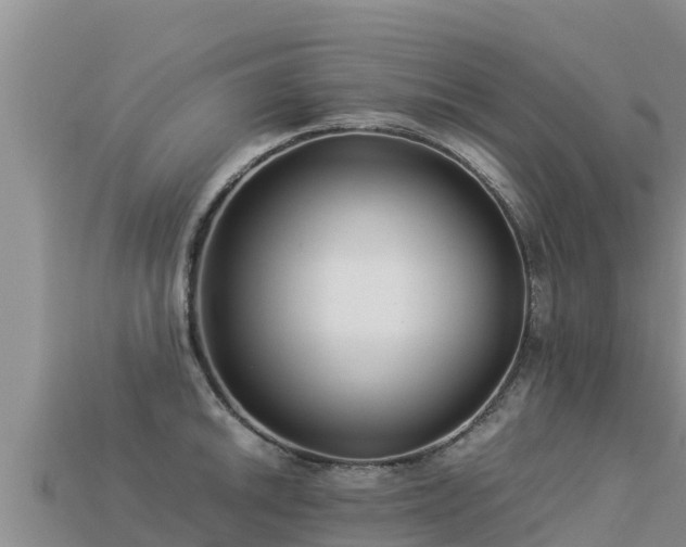 X0000113221046200909171551