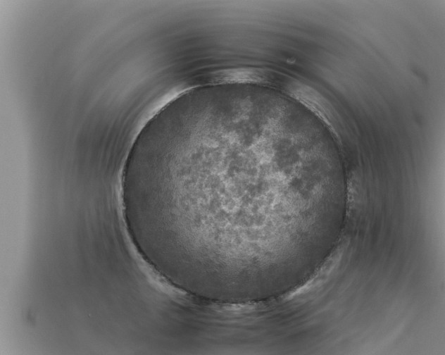 X0000113221047200909171551