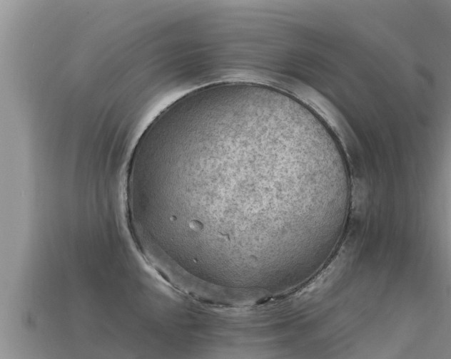 X0000113221048200909171551