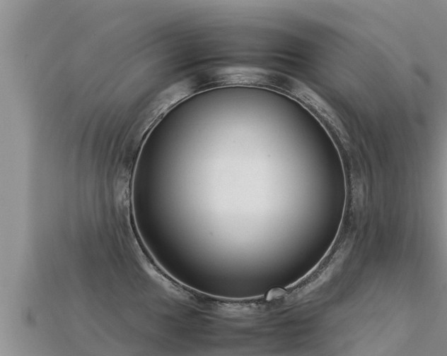 X0000113221049200909171551