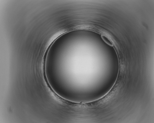 X0000113221050200909171551