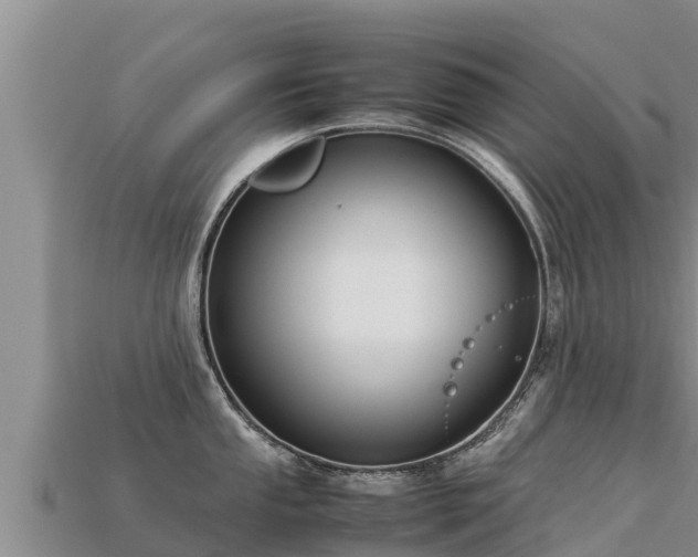 X0000113221053200909171551