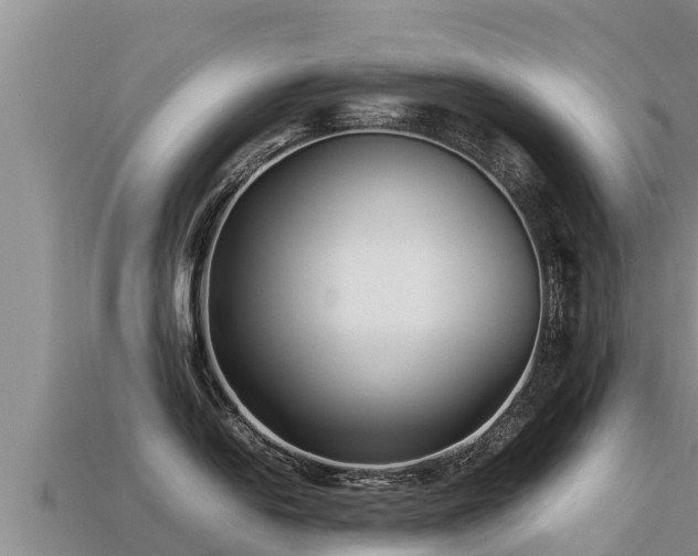 X0000113221054200909171551