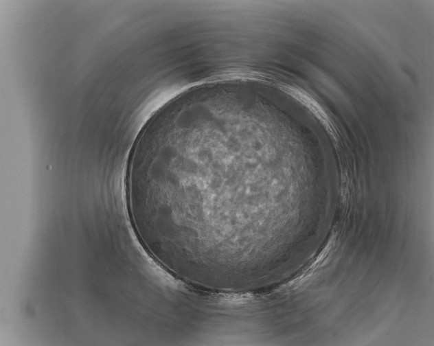 X0000113221055200909171551