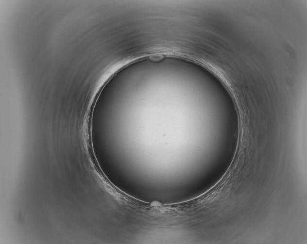 X0000113221056200909171551