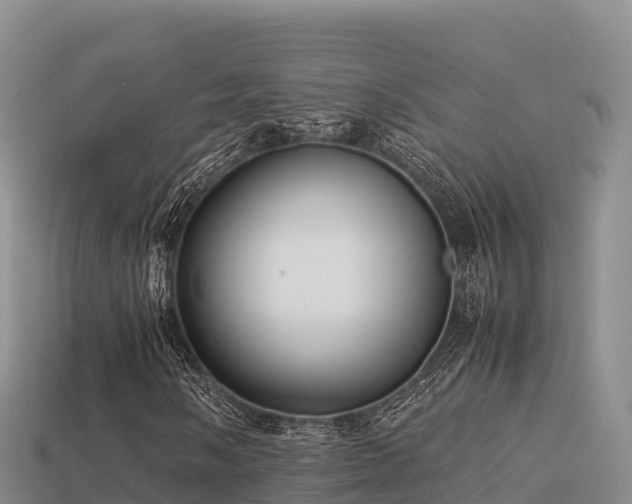 X0000113221058200909171550