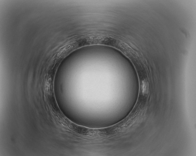 X0000113221059200909171550