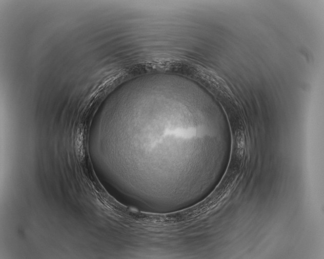 X0000113221060200909171550