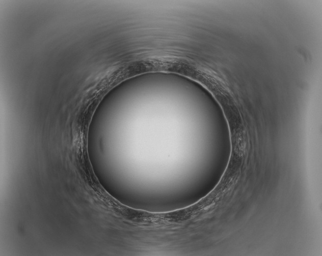 X0000113221061200909171550