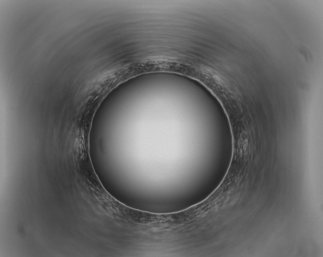 X0000113221062200909171550