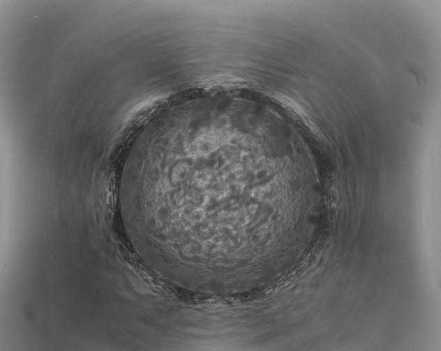 X0000113221063200909171550