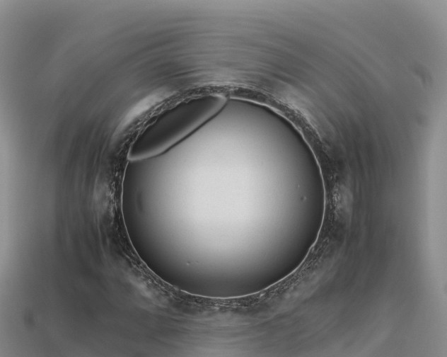 X0000113221064200909171550