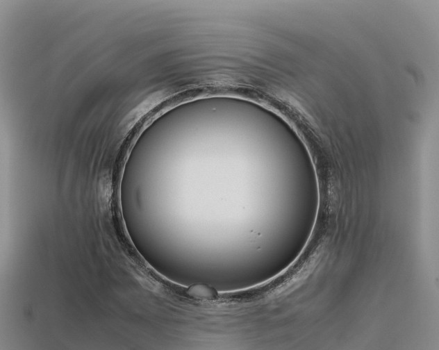 X0000113221065200909171550