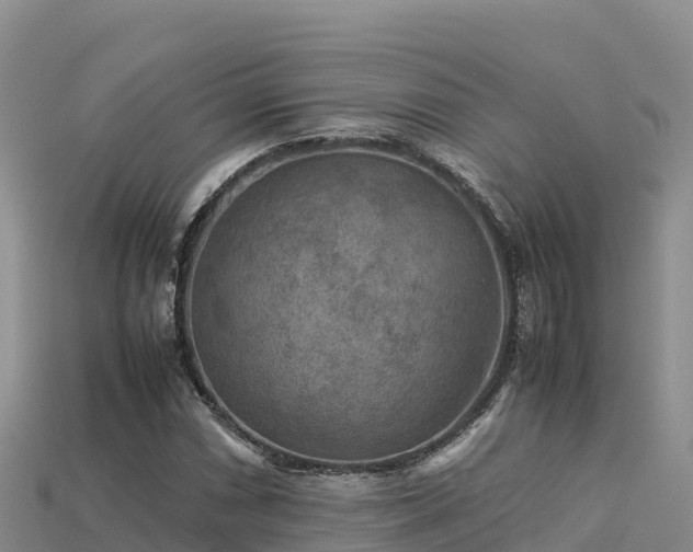 X0000113221066200909171550