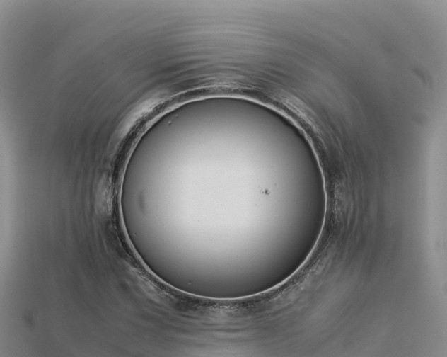 X0000113221067200909171550