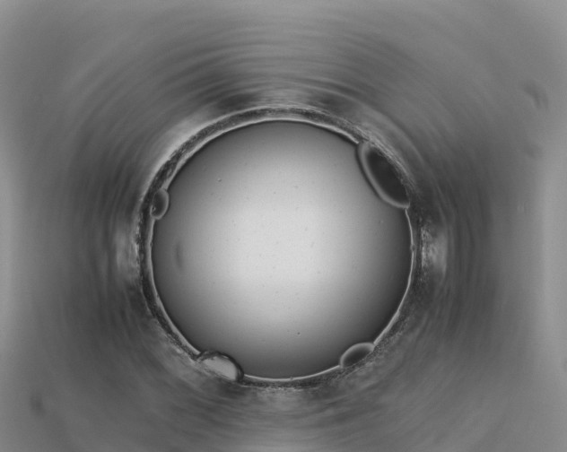 X0000113221068200909171550