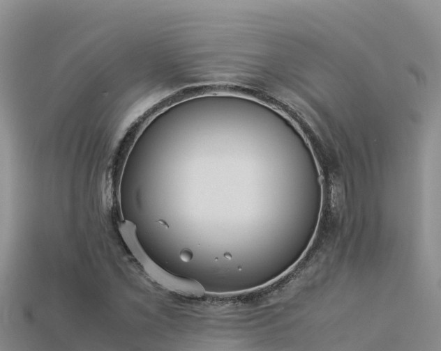 X0000113221069200909171550