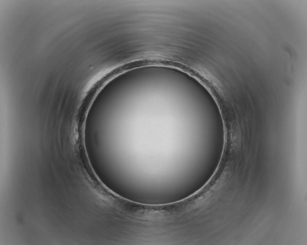 X0000113221070200909171550