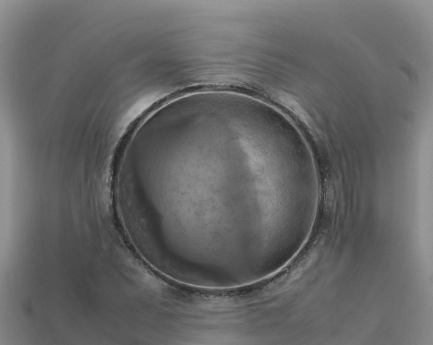 X0000113221071200909171550