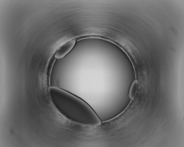 X0000113221072200909171550