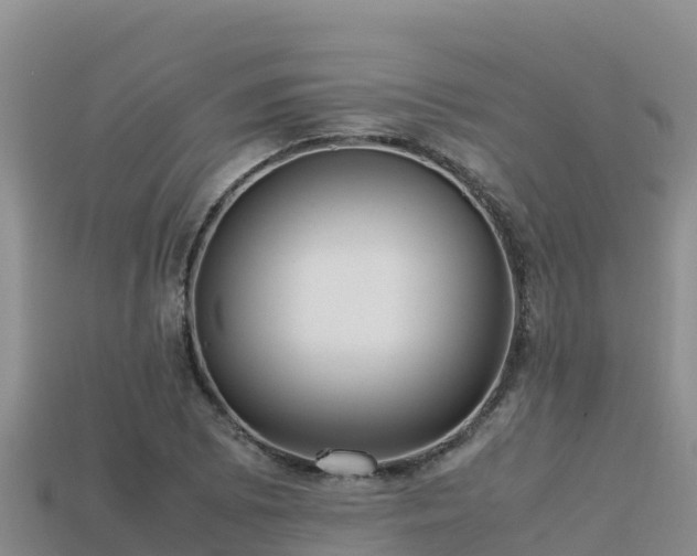 X0000113221073200909171550