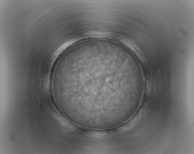 X0000113221074200909171550