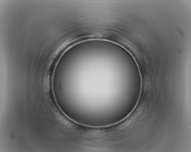 X0000113221075200909171550