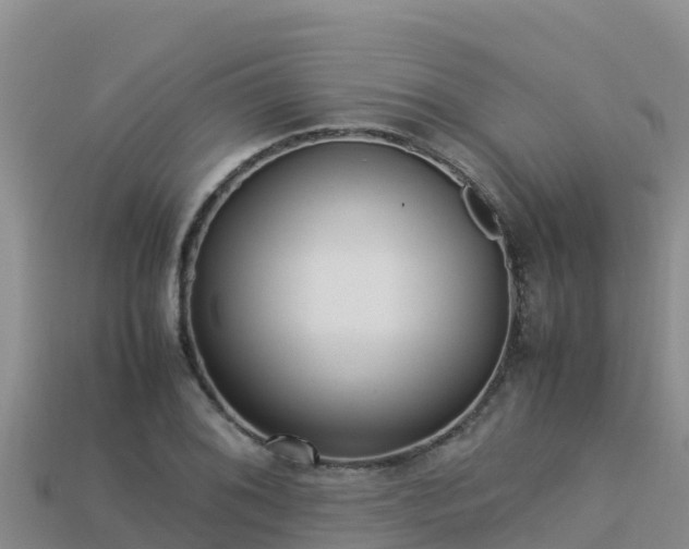 X0000113221076200909171550