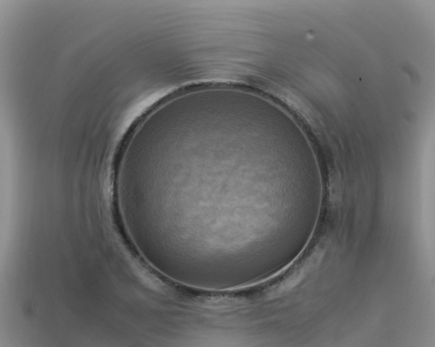 X0000113221077200909171550