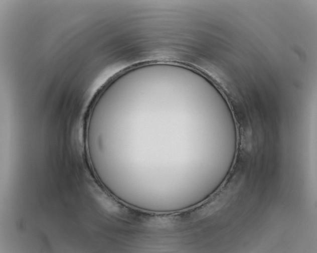 X0000113221078200909171550