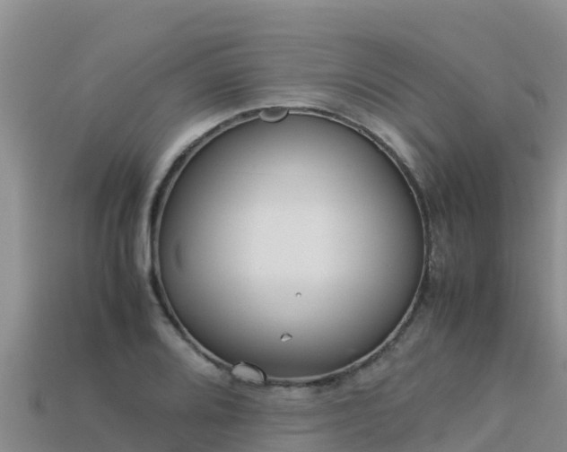 X0000113221080200909171550