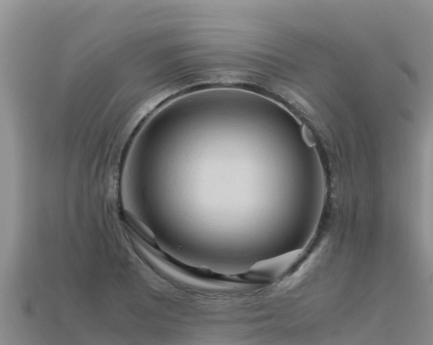 X0000113221081200909171550